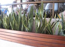 Kwikfynd Indoor Planting
bredbo
