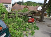 Kwikfynd Tree Cutting Services
bredbo