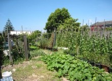 Kwikfynd Vegetable Gardens
bredbo